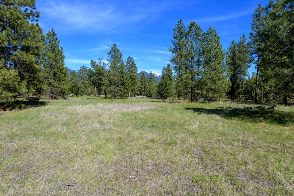 2650 Sophie Lake Road, Eureka, MT 59917 photo 26