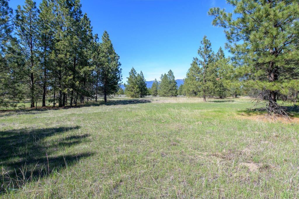 2650 Sophie Lake Road, Eureka, MT 59917 photo 29