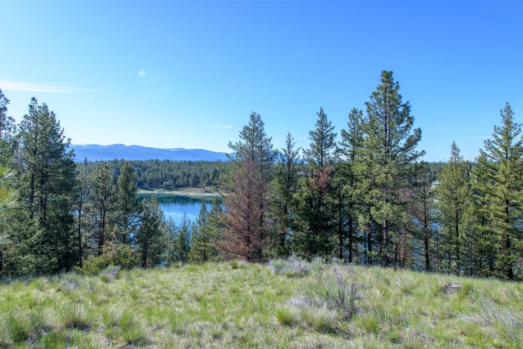 2650 Sophie Lake Road, Eureka, MT 59917 photo 3