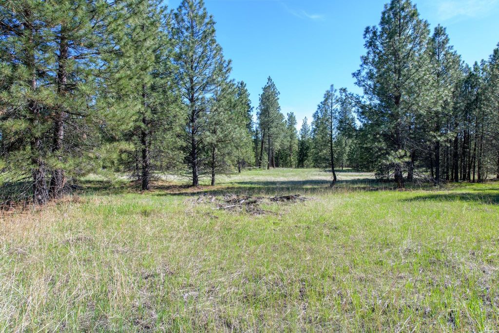 2650 Sophie Lake Road, Eureka, MT 59917 photo 30