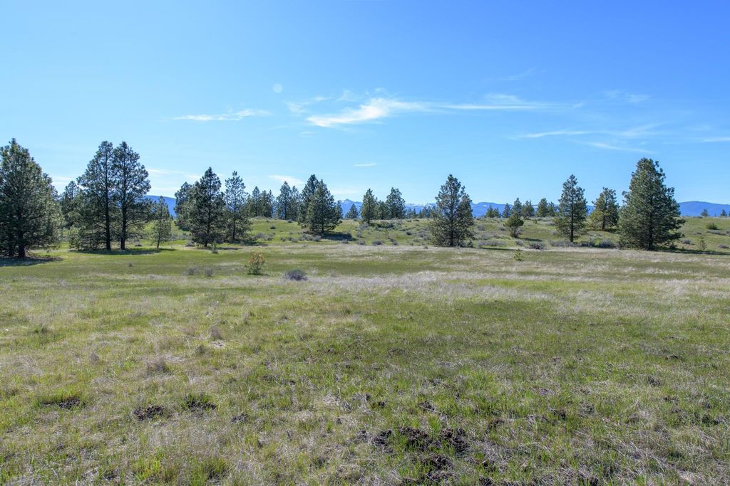 2650 Sophie Lake Road, Eureka, MT 59917 photo 34