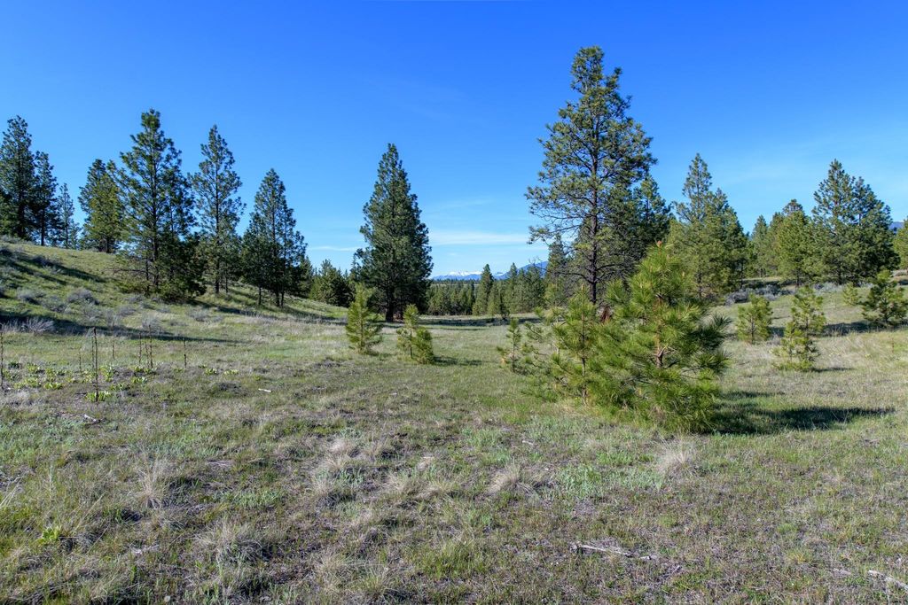 2650 Sophie Lake Road, Eureka, MT 59917 photo 39