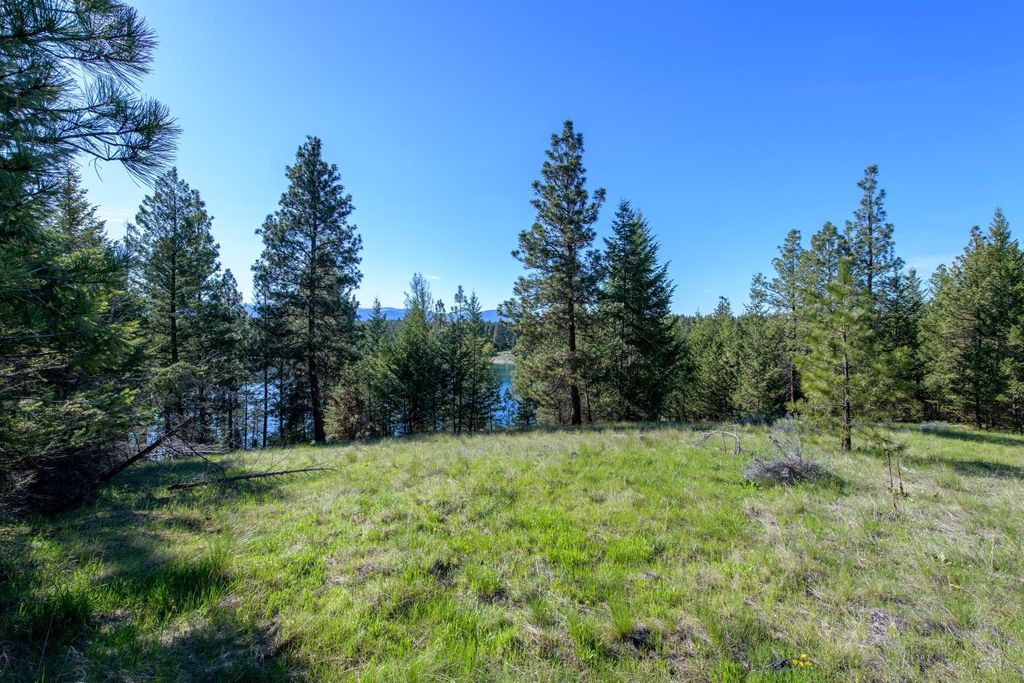 2650 Sophie Lake Road, Eureka, MT 59917 photo 4