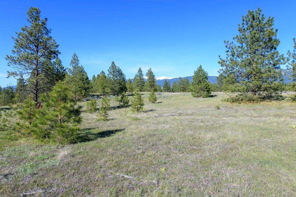 2650 Sophie Lake Road, Eureka, MT 59917 photo 40