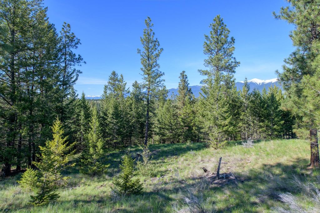 2650 Sophie Lake Road, Eureka, MT 59917 photo 44