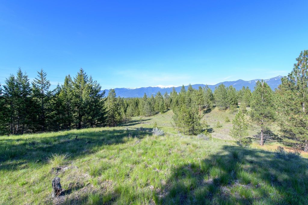 2650 Sophie Lake Road, Eureka, MT 59917 photo 45