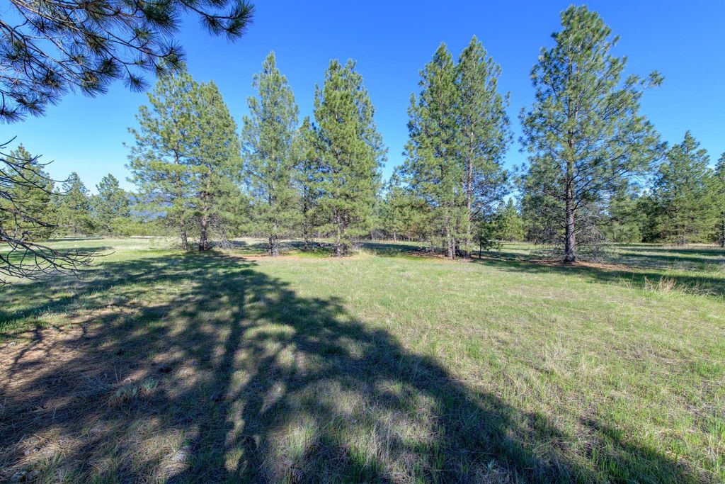 2650 Sophie Lake Road, Eureka, MT 59917 photo 47
