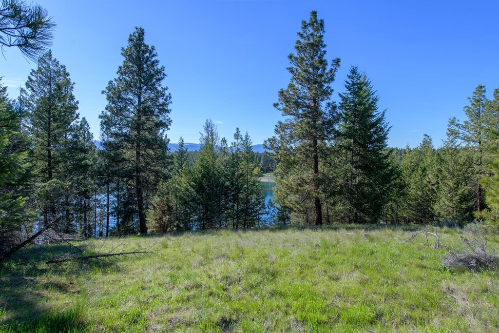 2650 Sophie Lake Road, Eureka, MT 59917 photo 5