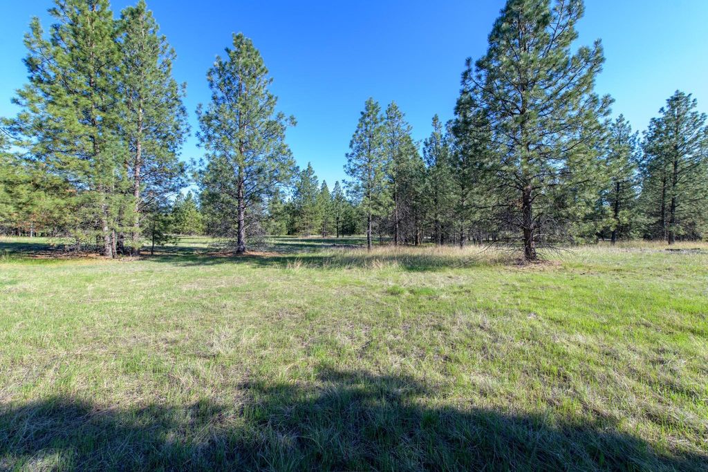 2650 Sophie Lake Road, Eureka, MT 59917 photo 6