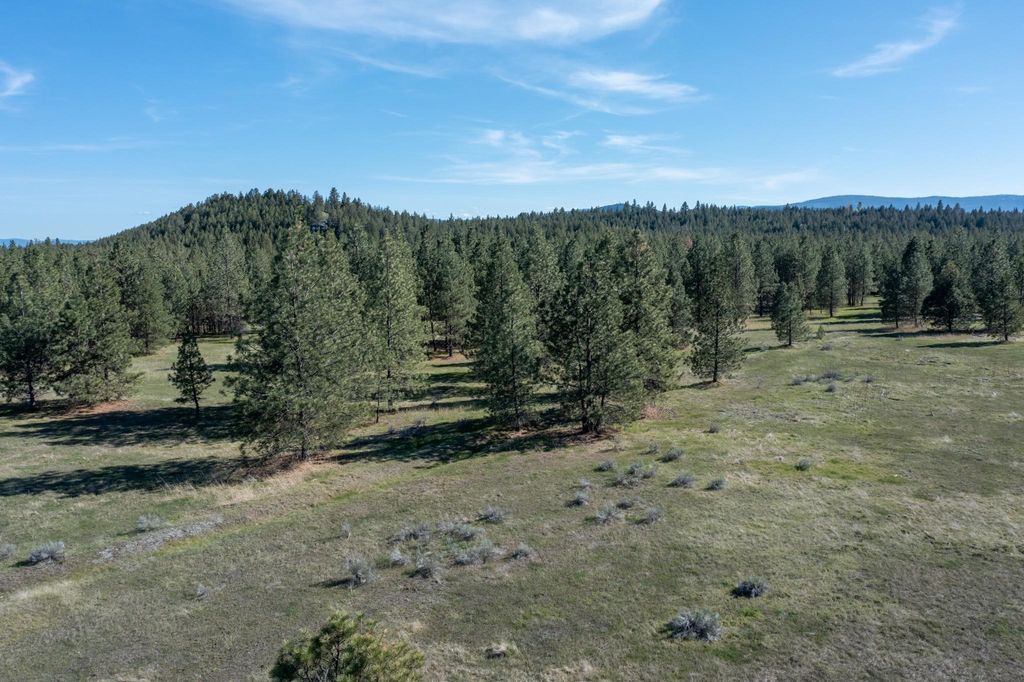 2650 Sophie Lake Road, Eureka, MT 59917 photo 73