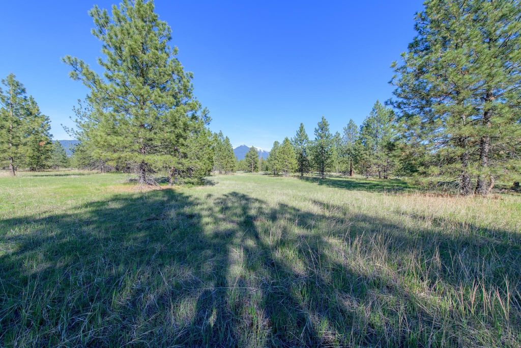 2650 Sophie Lake Road, Eureka, MT 59917 photo 8