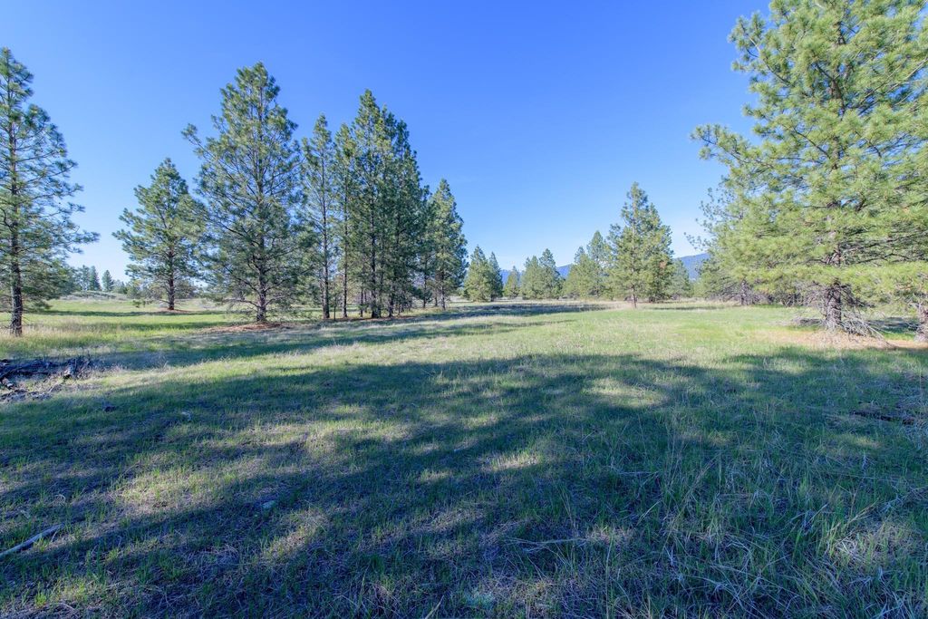 2650 Sophie Lake Road, Eureka, MT 59917 photo 9