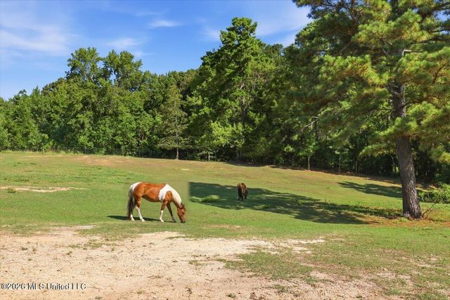 514 North Street, Brandon, MS 39042