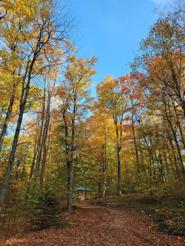 16568 Wagner Road, Almira Twp, MI 49650