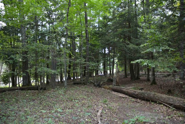 16568 Wagner Road, Almira Twp, MI 49650