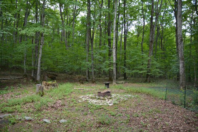 16568 Wagner Road, Almira Twp, MI 49650