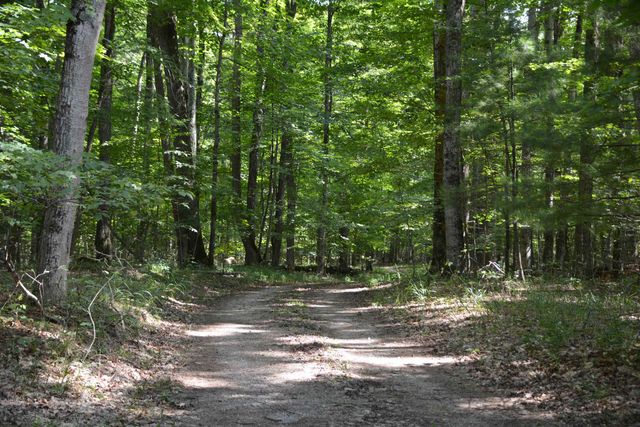 16568 Wagner Road, Almira Twp, MI 49650