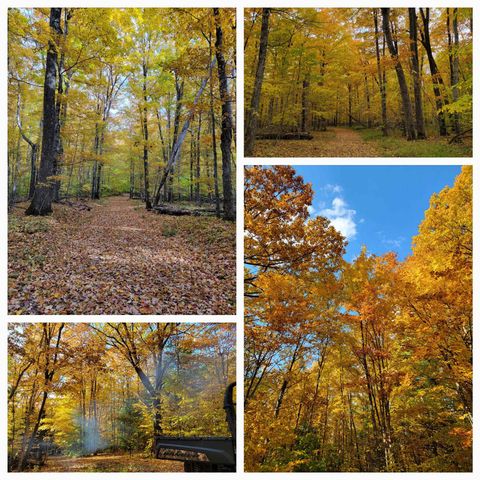 16568 Wagner Road, Almira Twp, MI 49650