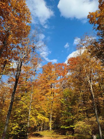 16568 Wagner Road, Almira Twp, MI 49650