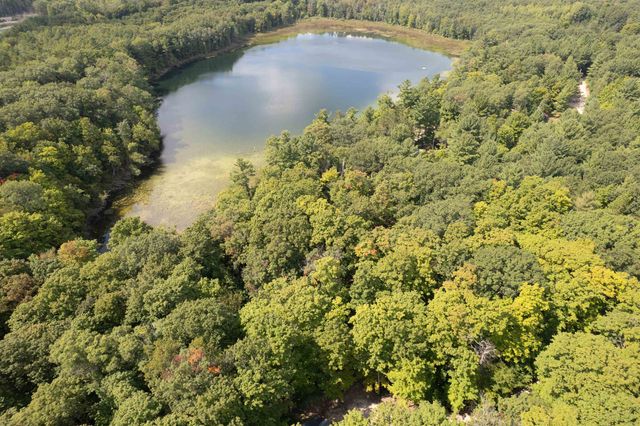 16568 Wagner Road, Almira Twp, MI 49650