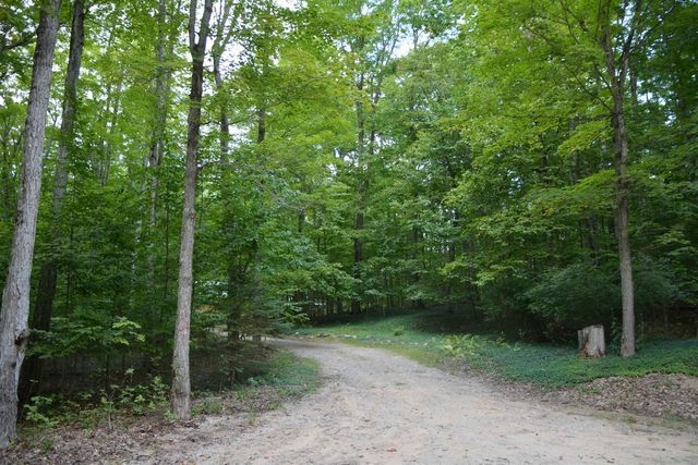 16568 Wagner Road, Almira Twp, MI 49650