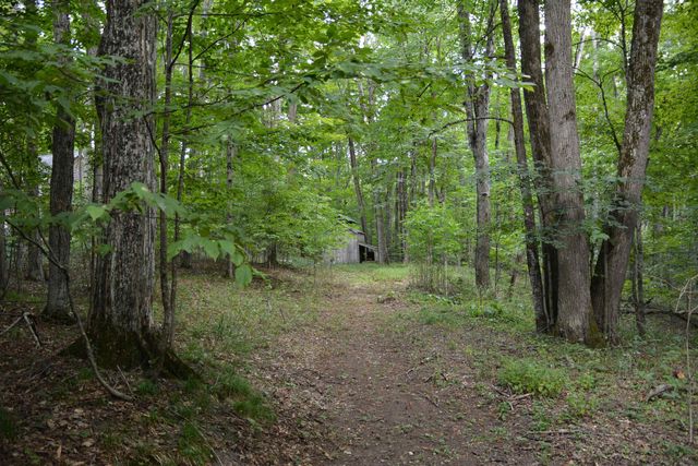 16568 Wagner Road, Almira Twp, MI 49650