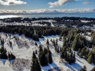 61447 Florence Martin Court, Homer, AK 99603