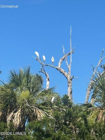 130 Sea Otter Lane, Fripp Island, SC 29920