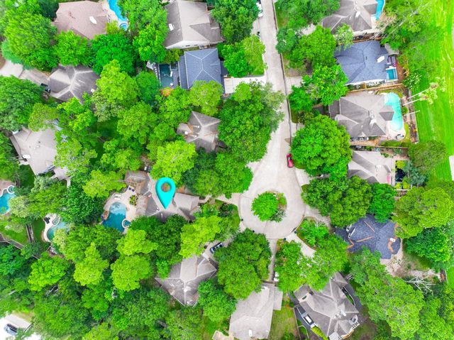 22 Vinca Trail, The Woodlands, TX 77382