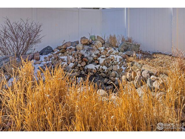 1223 Chilcott St, Berthoud, CO 80513