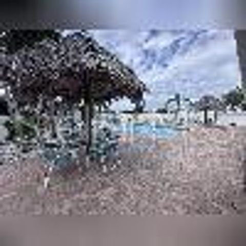 800 COVE CAY DRIVE 5D, Clearwater, FL 33760