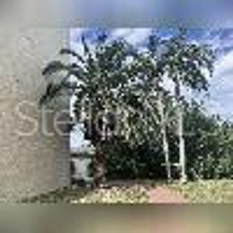 800 COVE CAY DRIVE 5D, Clearwater, FL 33760