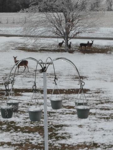 417 Buttermilk Hollow Rd, Bethpage, TN 37022