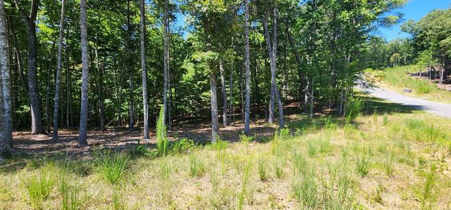 Lot 51 Ridge Drive, Morganton, GA 30560