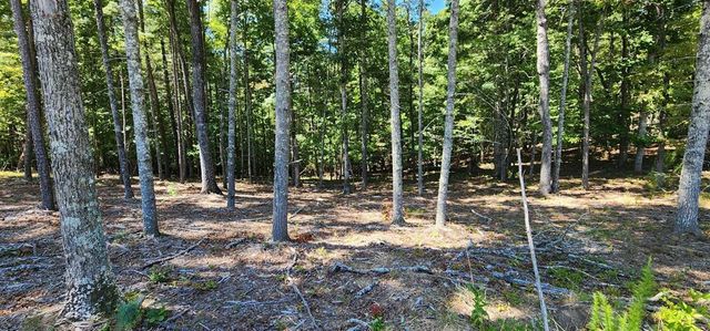 Lot 51 Ridge Drive, Morganton, GA 30560