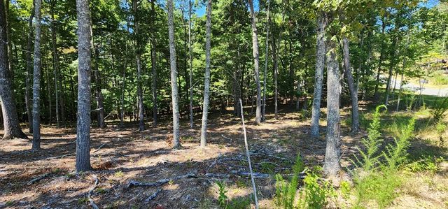 Lot 51 Ridge Drive, Morganton, GA 30560