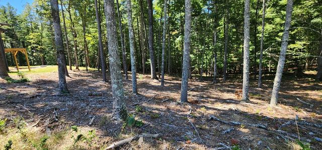 Lot 51 Ridge Drive, Morganton, GA 30560
