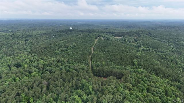 0 Skyview, Cottondale, AL 35453