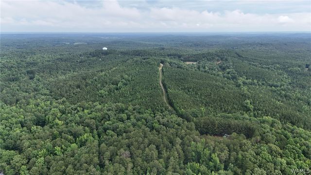 0 Skyview, Cottondale, AL 35453