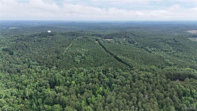 0 Skyview, Cottondale, AL 35453
