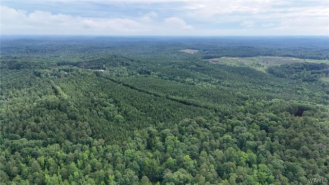 0 Skyview, Cottondale, AL 35453