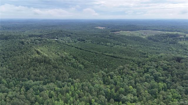 0 Skyview, Cottondale, AL 35453