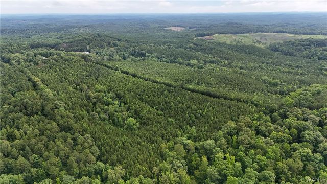 0 Skyview, Cottondale, AL 35453