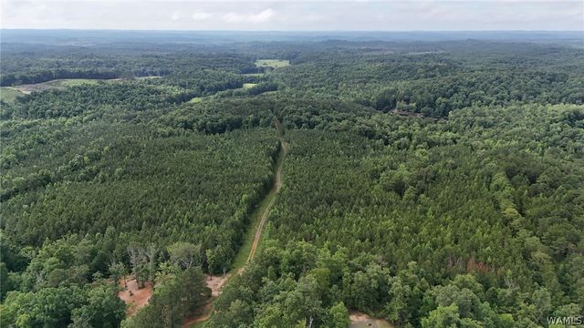 0 Skyview, Cottondale, AL 35453