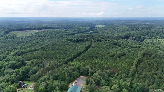 0 Skyview, Cottondale, AL 35453