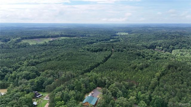 0 Skyview, Cottondale, AL 35453