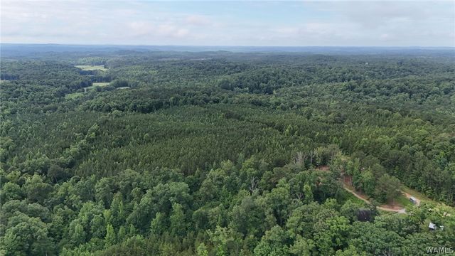 0 Skyview, Cottondale, AL 35453