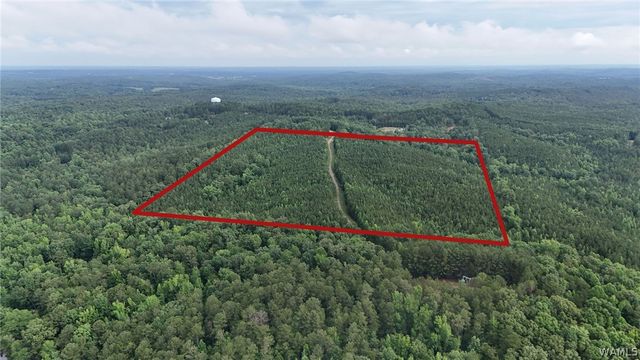 0 Skyview, Cottondale, AL 35453