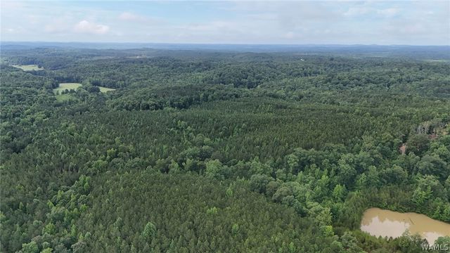 0 Skyview, Cottondale, AL 35453