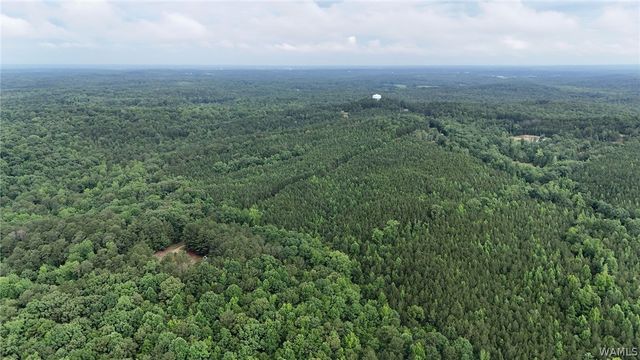 0 Skyview, Cottondale, AL 35453